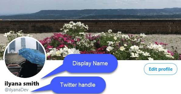 Twitter handle and display name