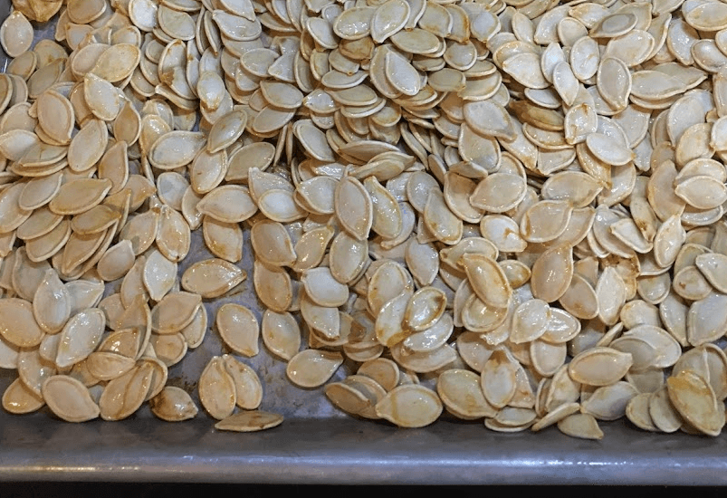 Seeds on Tray